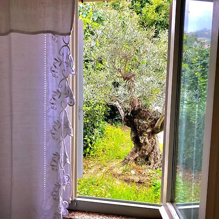 Francesca Luxury - Adriatic Nature & Heritage House Grottammare
